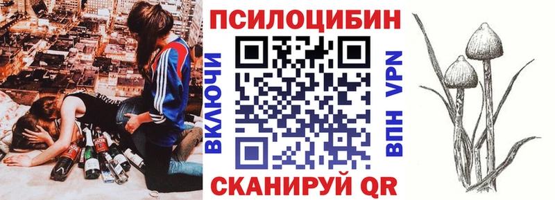 Купить  Лабытнанги  Галлюциногенные грибы Psilocybine cubensis 